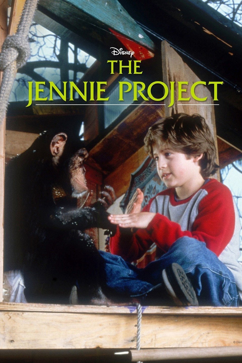 Постер The Jennie Project